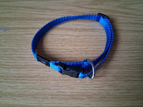 Hundehalsband nylon blau - hundehalsband,, nylon,