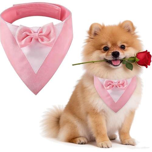 Hundesmoking rosa fliege - hundesmoking,